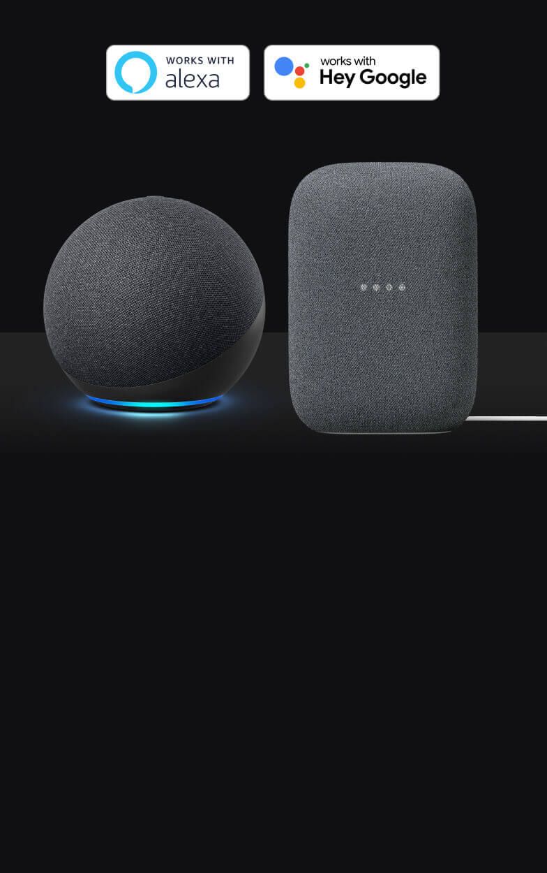 An Alexa-enabled device and a Google Assistant-enabled device on a black background.